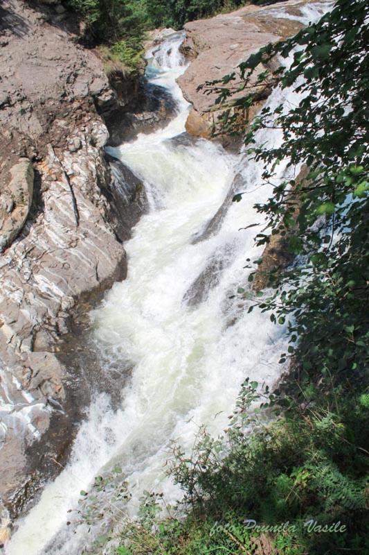 Pensiunea Cascada Putnei Lepşa Exteriér fotografie